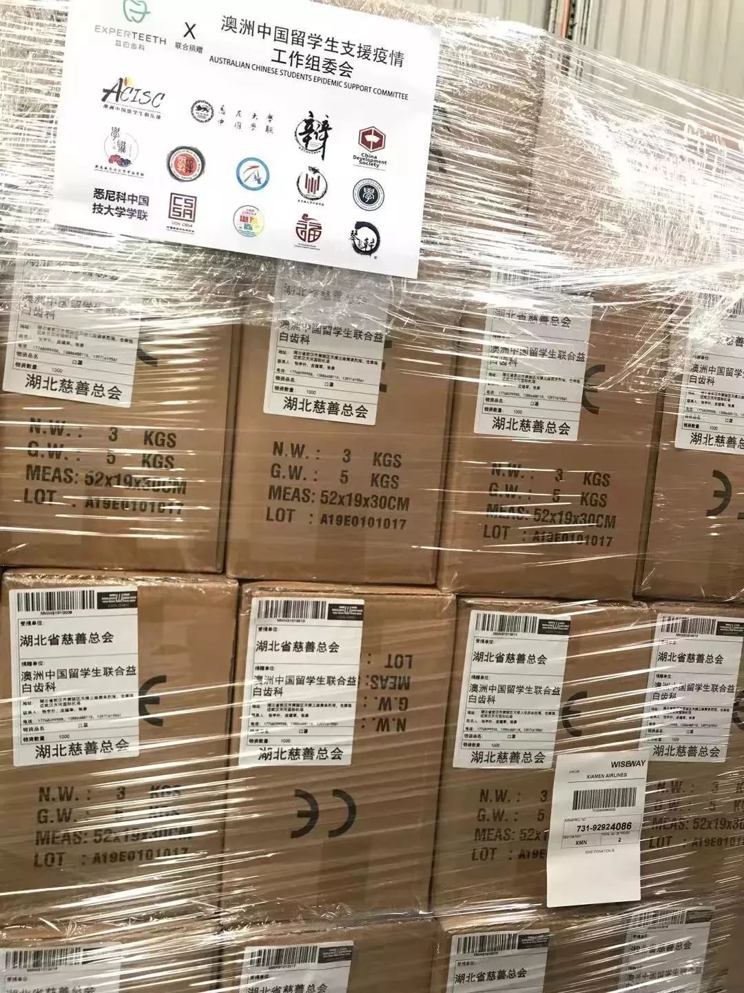 疫情中的青年力量英语,疫情防控下的青年力量