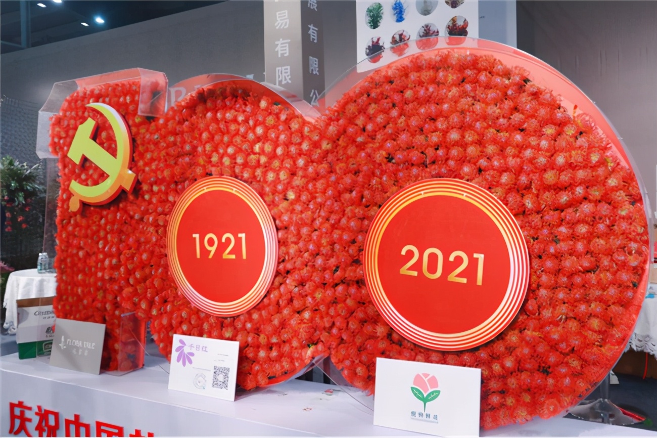 让人惊艳的花展,花展上看到的美到窒息