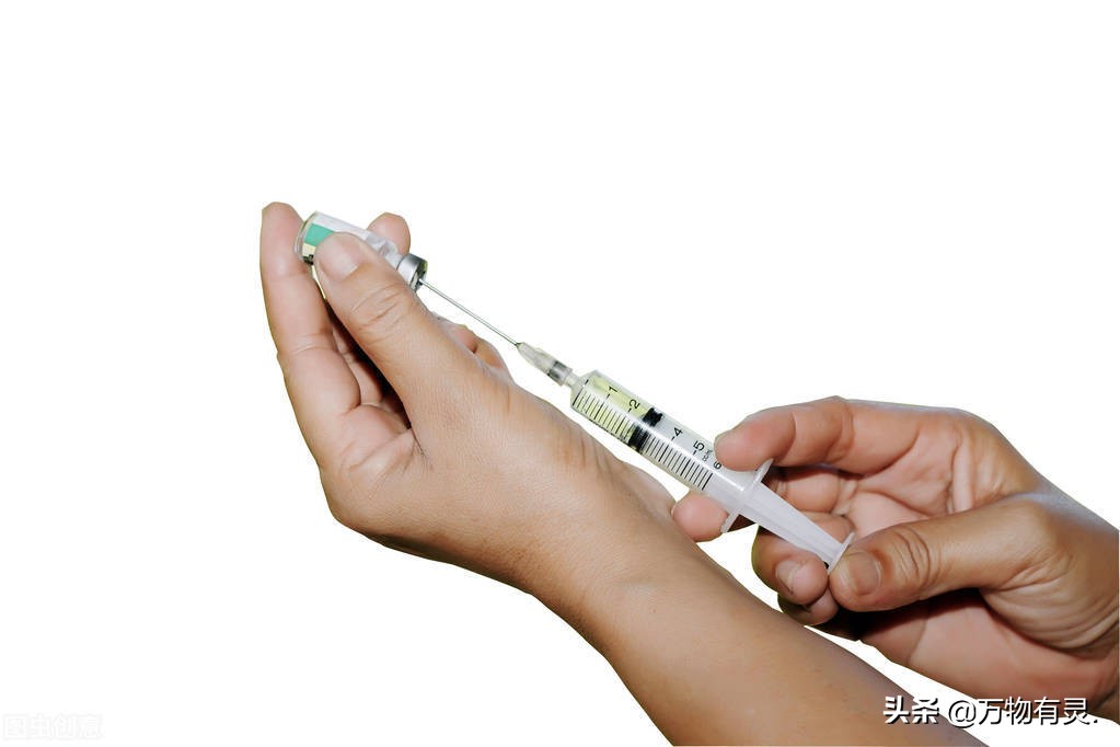 路上遇到咬人的狗怎么办,咬人的狗怎么训练