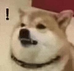 瘦身塑身衣提臀效果,塑身衣运动减肥效果