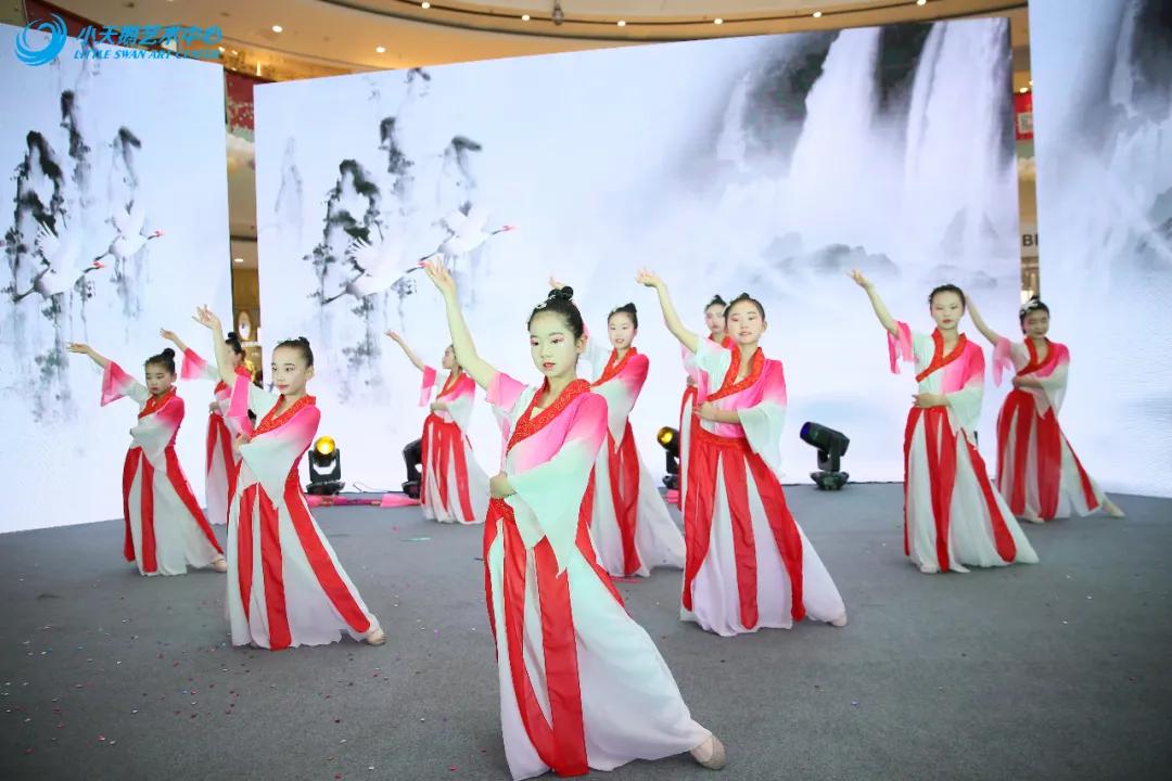 小天鹅艺术中心专场演出现场,小天鹅艺术中心专场演出