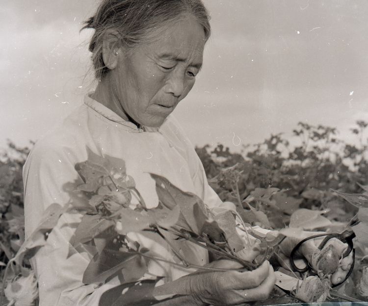 三八妇女节巾帼英雄人物,三八妇女节致敬各条战线巾帼英雄