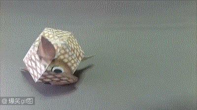 纸艺立体手工折纸幼儿,专业纸艺折纸制作教程