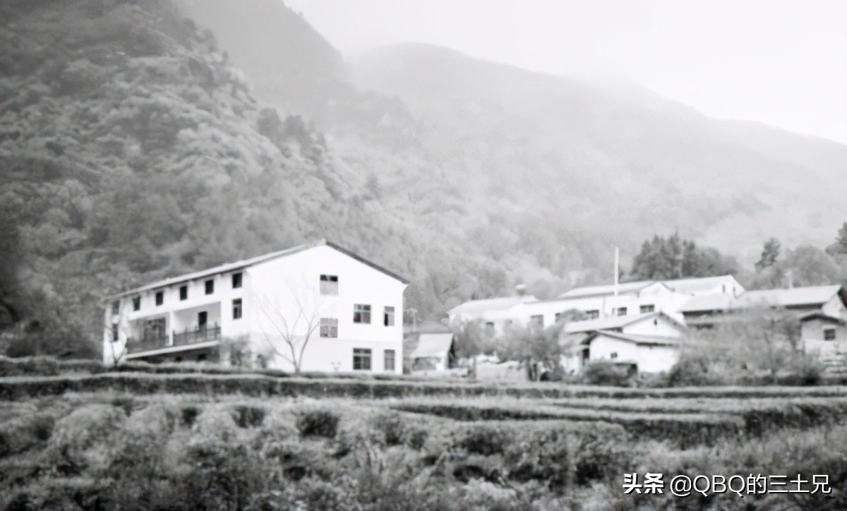 大案要案纪实东北灭门案,97年东北五虎灭门案