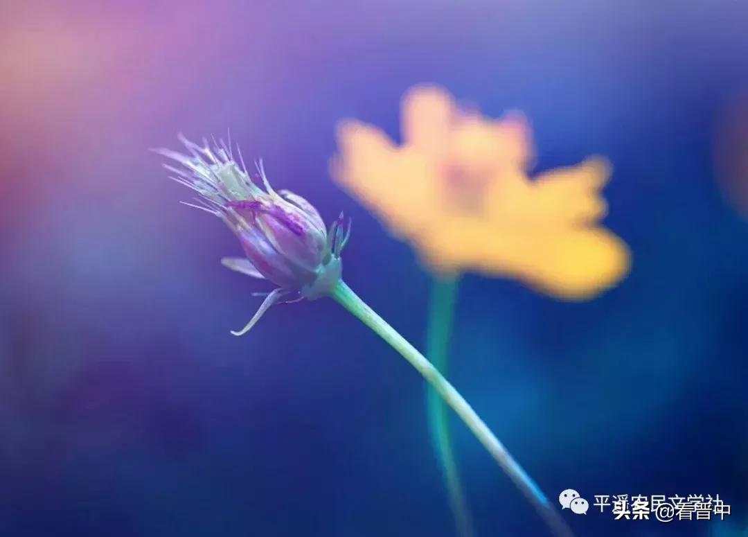 晋中婚宴,晋中旅行图文日记