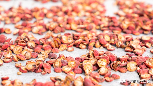 银狐洞风景区旅游路线攻略,游银狐洞