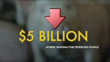 为什么中国每年从美国大量进口肉,为什么中国进口俄罗斯大增