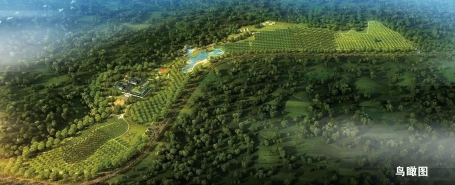 新盛，一个“全能型选手”的徐州进化史