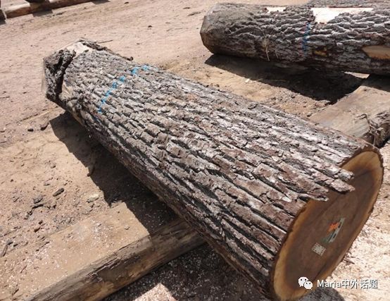 美国硬木干货价格,北美硬木排行