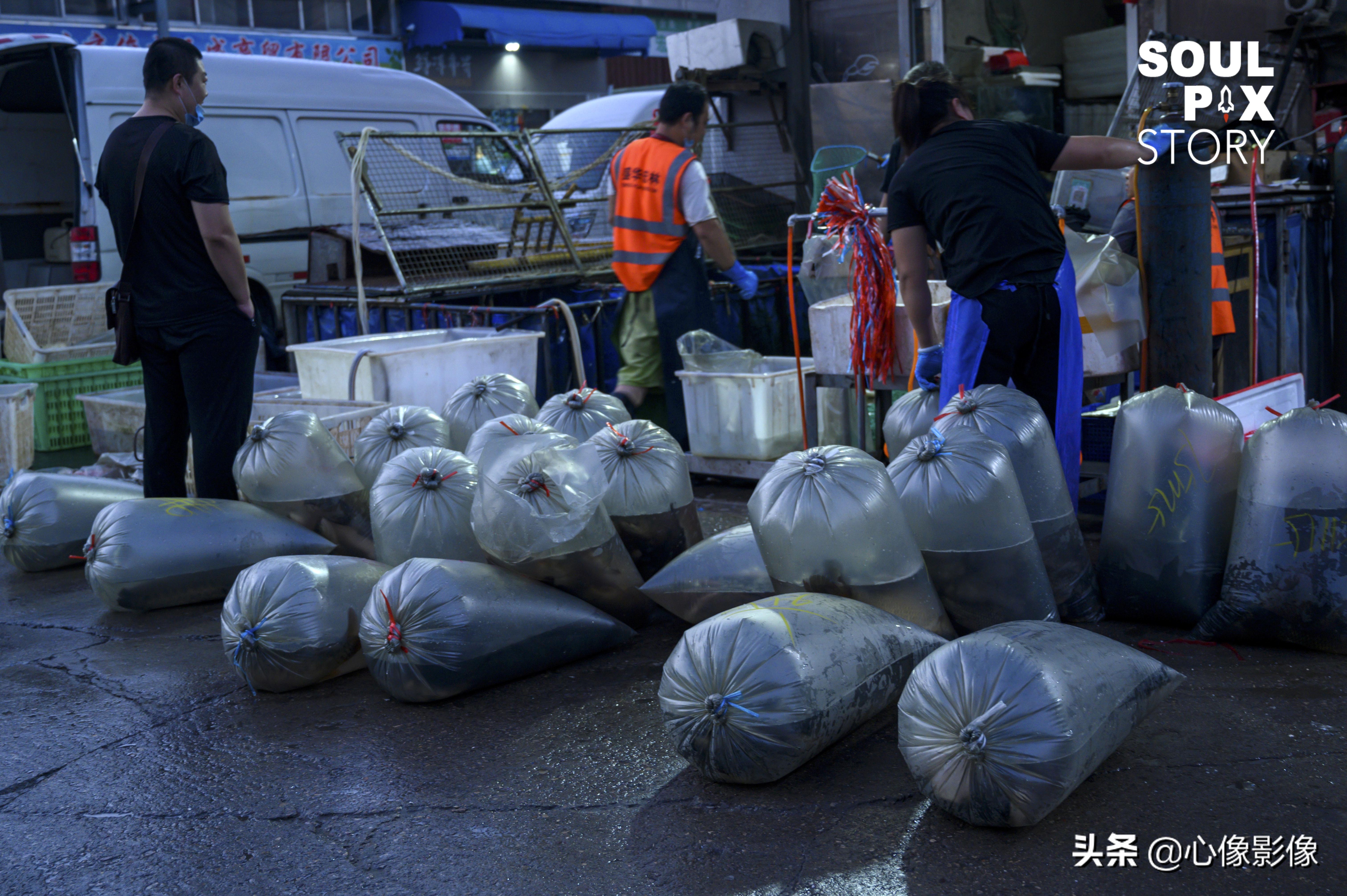 王四营海鲜市场疫情期间营业了吗,北京最新疫情海鲜市场