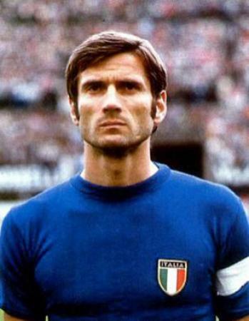 征服之光阿根廷,征服之光结束语