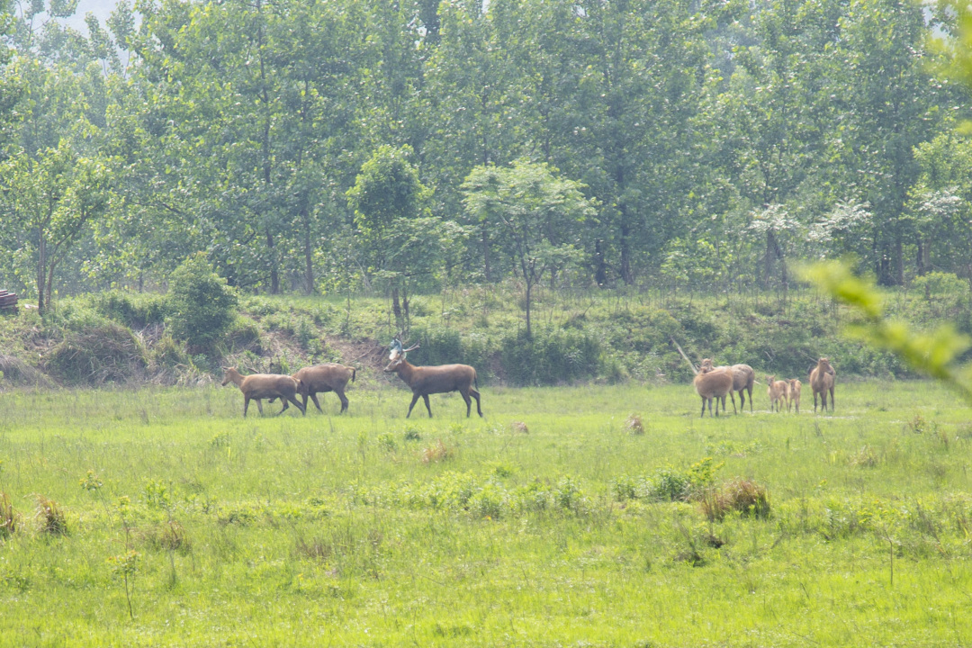 五一黄金周长沙旅游攻略,长沙洋沙湖自驾游攻略
