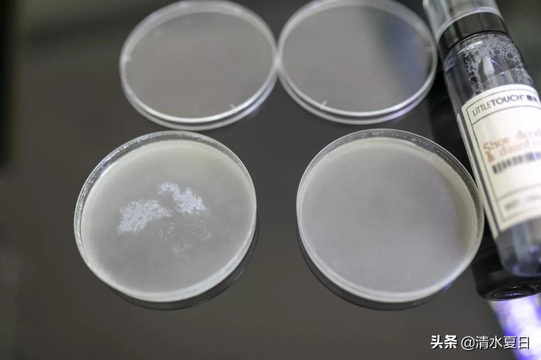 夏天治脚臭最好的方法,除脚臭好物推荐瞬间除臭