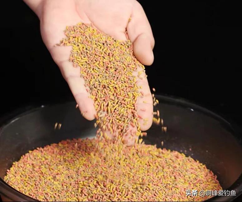 用颗粒钓鱼小妙招,钓鱼用颗粒钓法