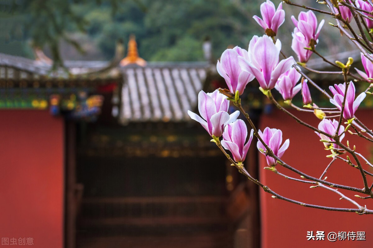 拍摄古建筑摄影技巧,古建筑双人拍照怎么拍出高级感