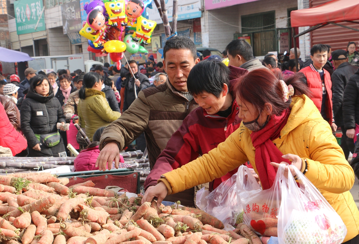 张会养作品：长寿塬*会集**