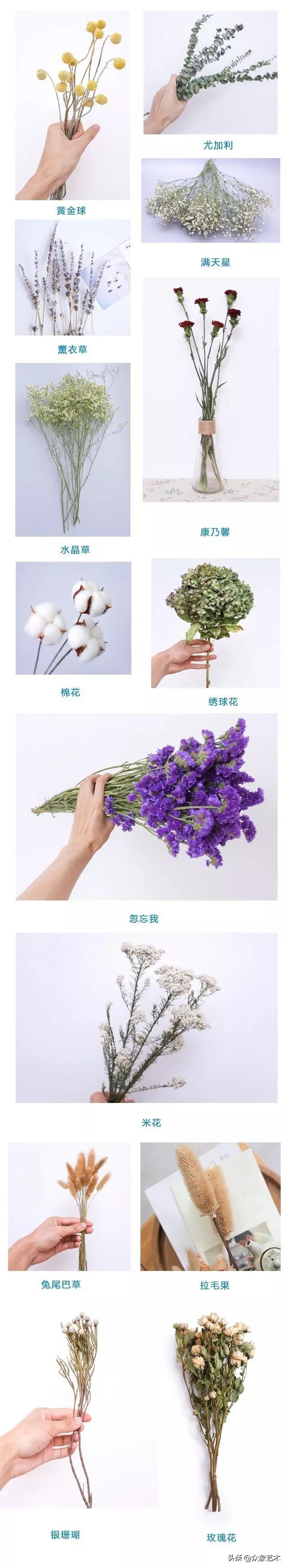 干花布置省钱,什么花适合做干花