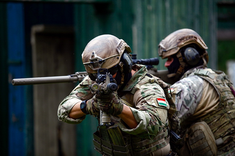 特种作战力量排行,世界战斗力最强的十大特种部队