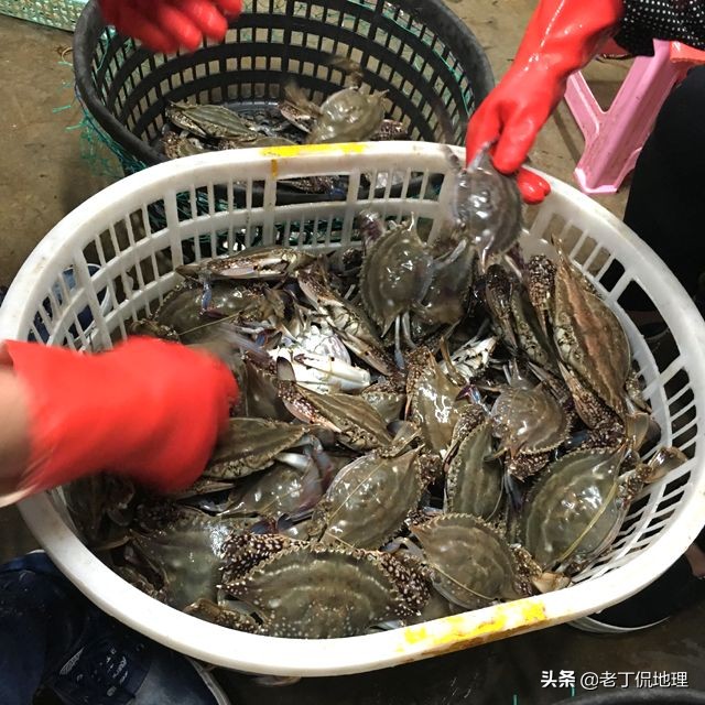 中国海鲜地图,中国海鲜最多地区