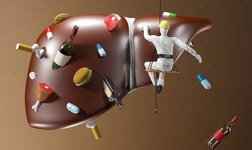 金匮要略清肝利胆,疏肝利胆中药方剂