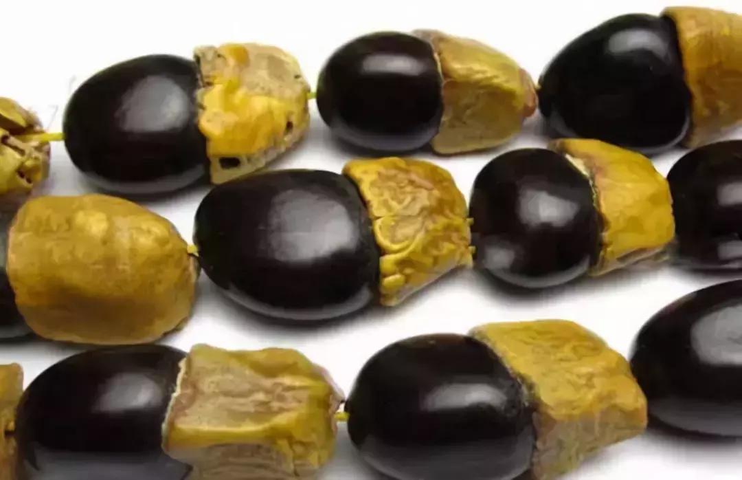 所有菩提手串大展示,菩提手串大全视频