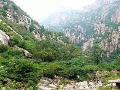 北京国家森林公园风景,画说北京故事