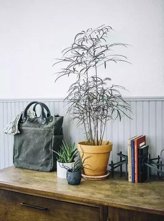 爆款时尚帆布包品牌,爆款帆布包大全