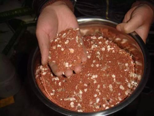 养鸟人必备技能,养鸟都需要做些什么