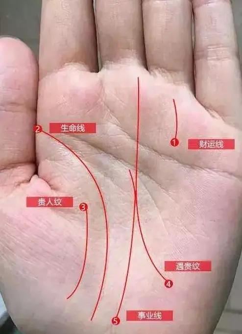 王老师手相面相,手相面相大解析