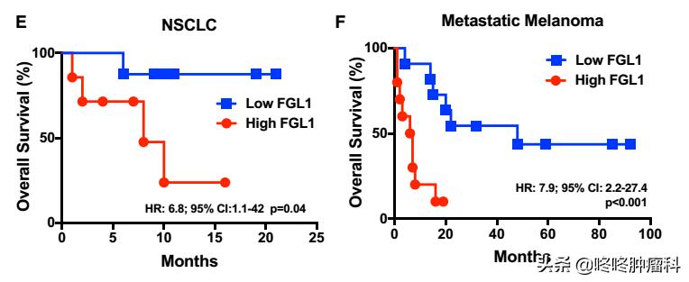 免疫检查点抗体,lag3抗体最新研发进展