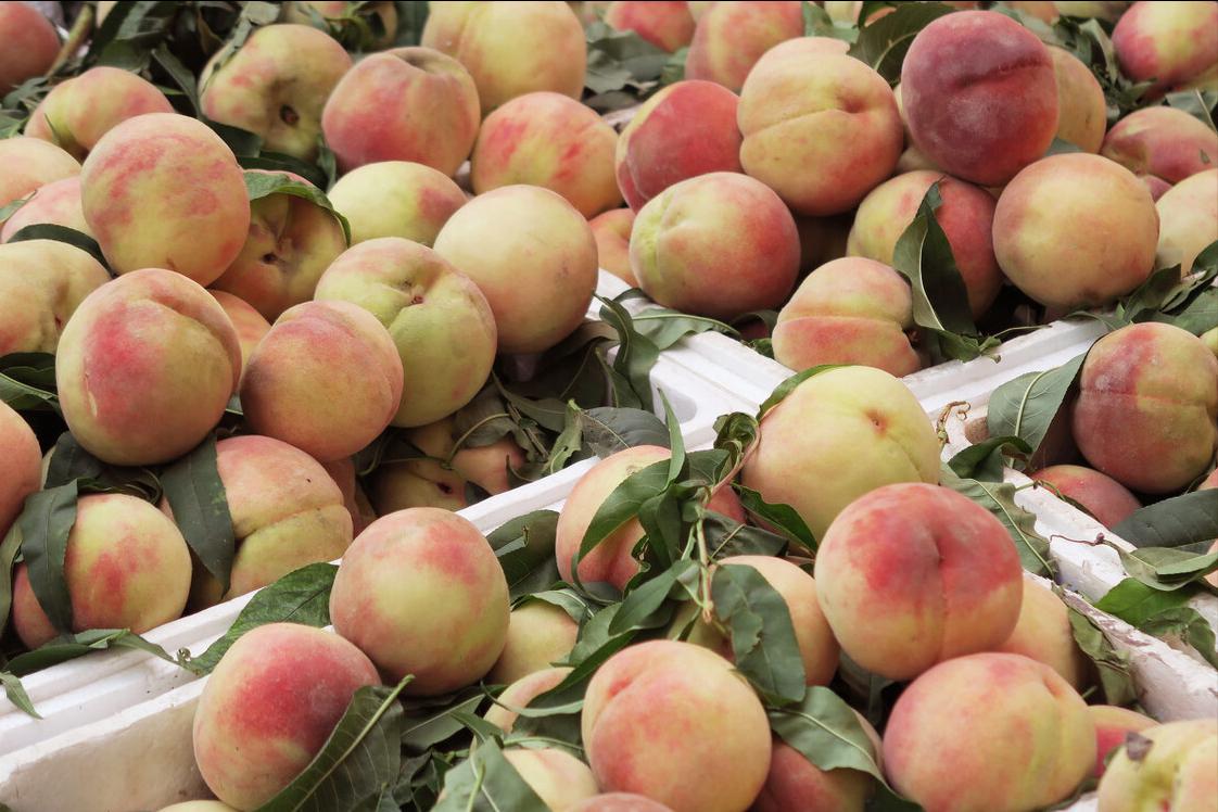 脆桃子怎么挑选,新鲜桃子脆又甜