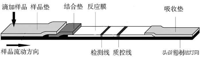 病毒性肝炎首选的检测指标,肝炎病毒全套检测项目