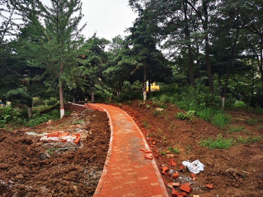 娌堥槼寮犲＋濂夎揪鍏洯,娌堥槼濂夎揪鍏洯