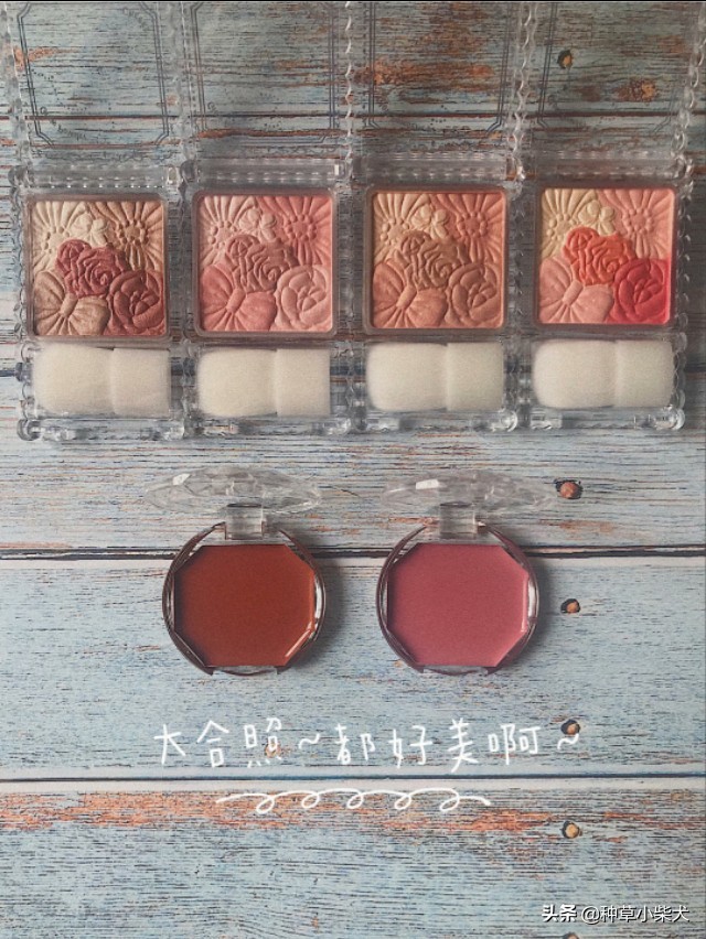 canmake腮红最火色号,canmake花瓣腮红和小奥汀芝士腮红