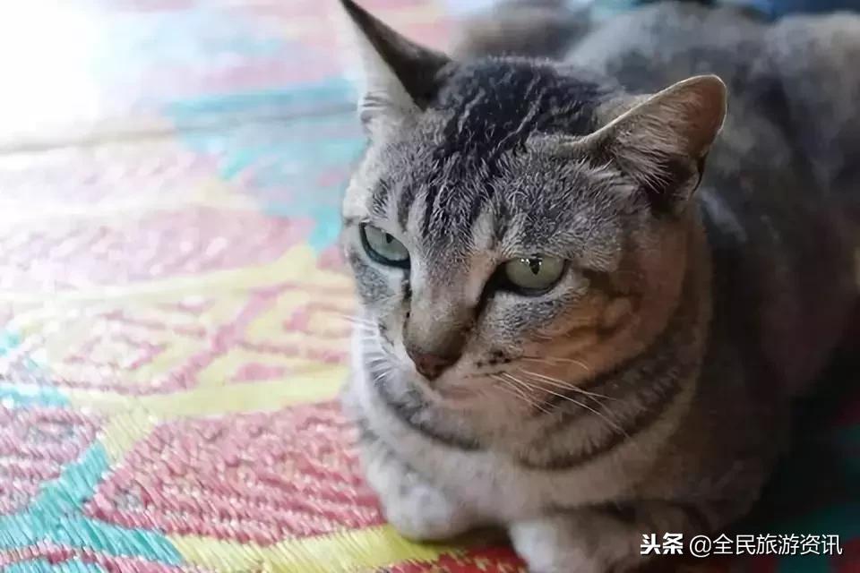 这个藏着绝美海滩和热气球的东南亚小国说走就走！