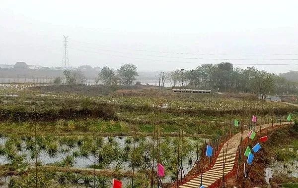 湘潭国家森林城市,湘潭十大国家公园