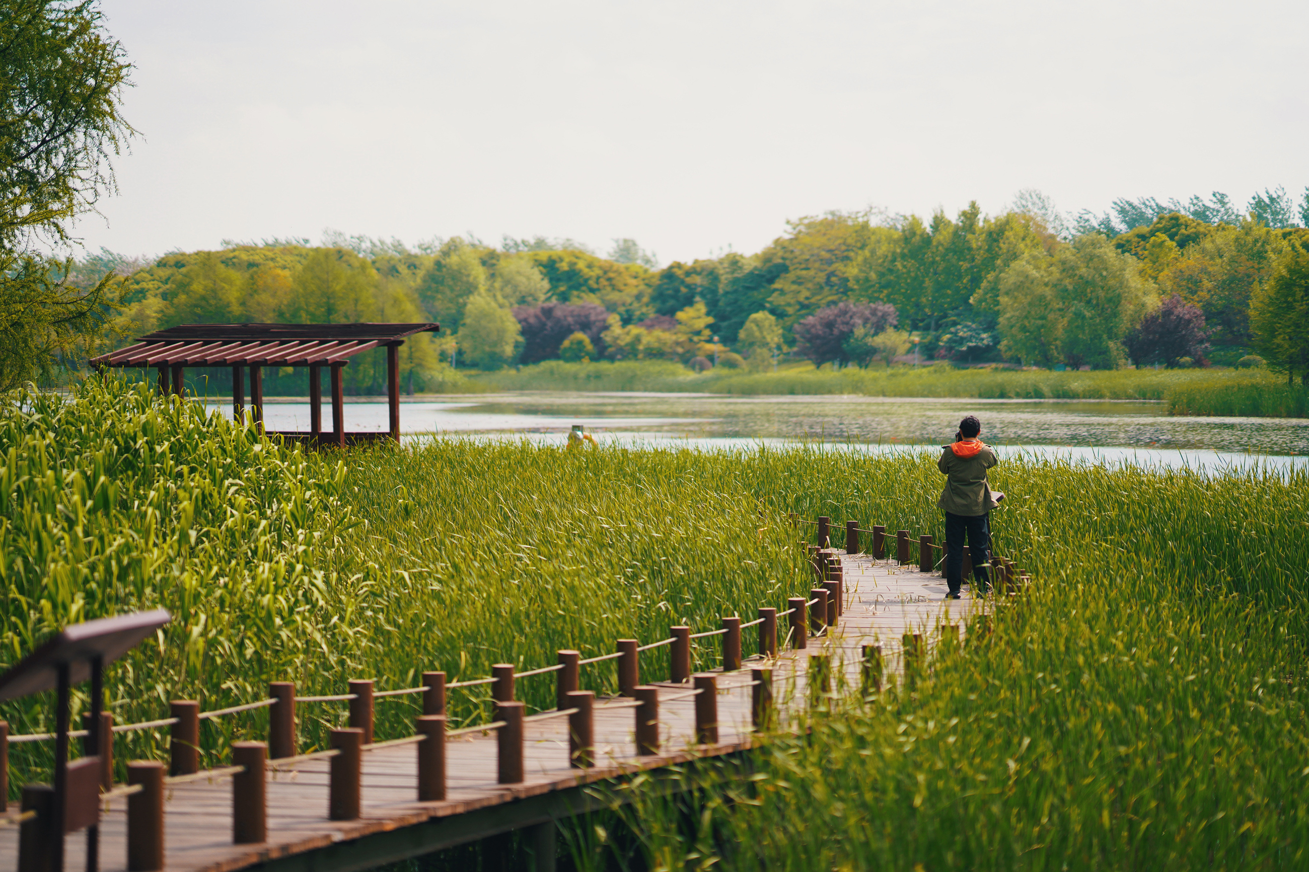 苏州特色民宿推荐,苏州最有特色民宿推荐