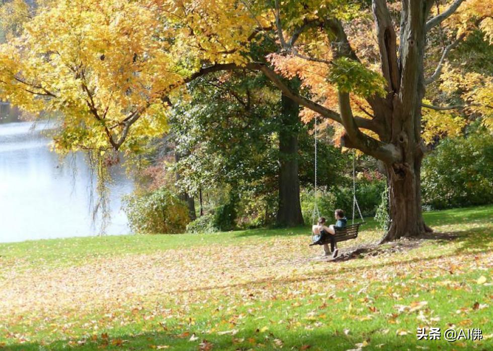 美国康奈尔大学校园风景,美国校园美景