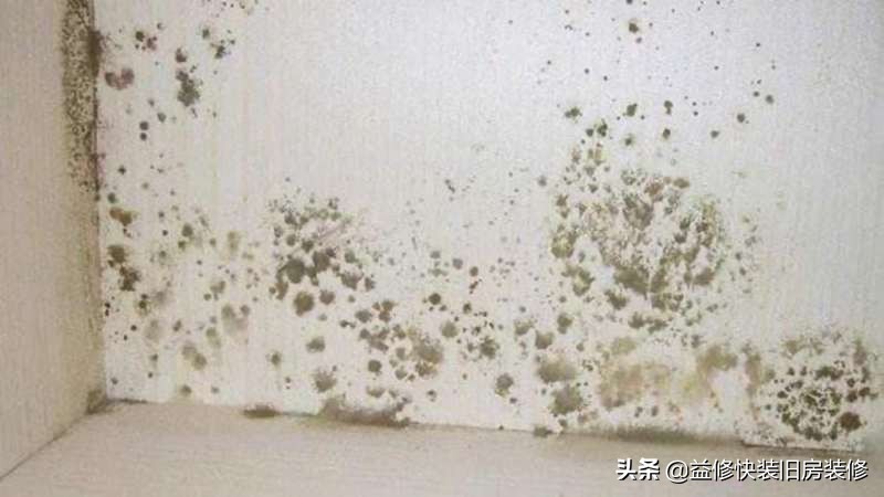 家里墙壁发霉了怎么处理干净,家里墙壁发霉怎么处理妙招