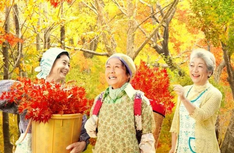 我们调侃“你是什么垃圾”时,日本这个小镇已经零垃圾生活15年了