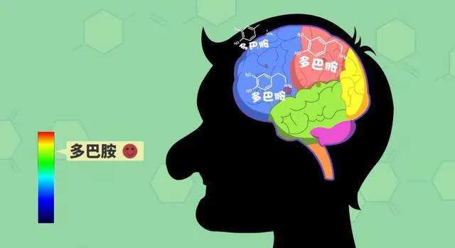 生物学上解释爱情能存在多长时间,生物学家说爱情是什么