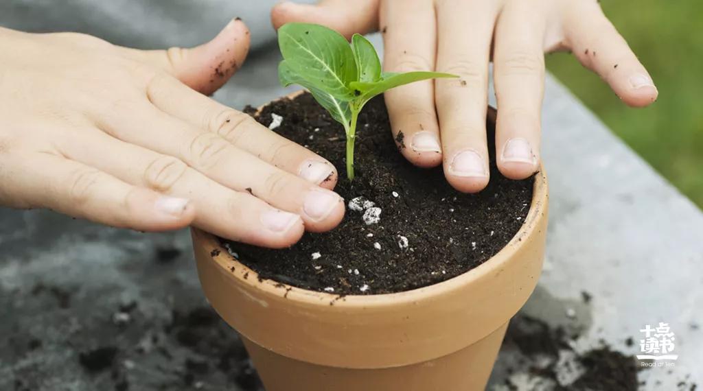 没钱的人格局也大不了,男人没格局比没钱更可怕的句子