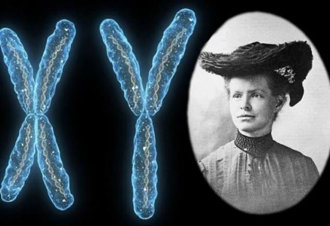 那些不被人熟知的科学家,那些逆天的科学家