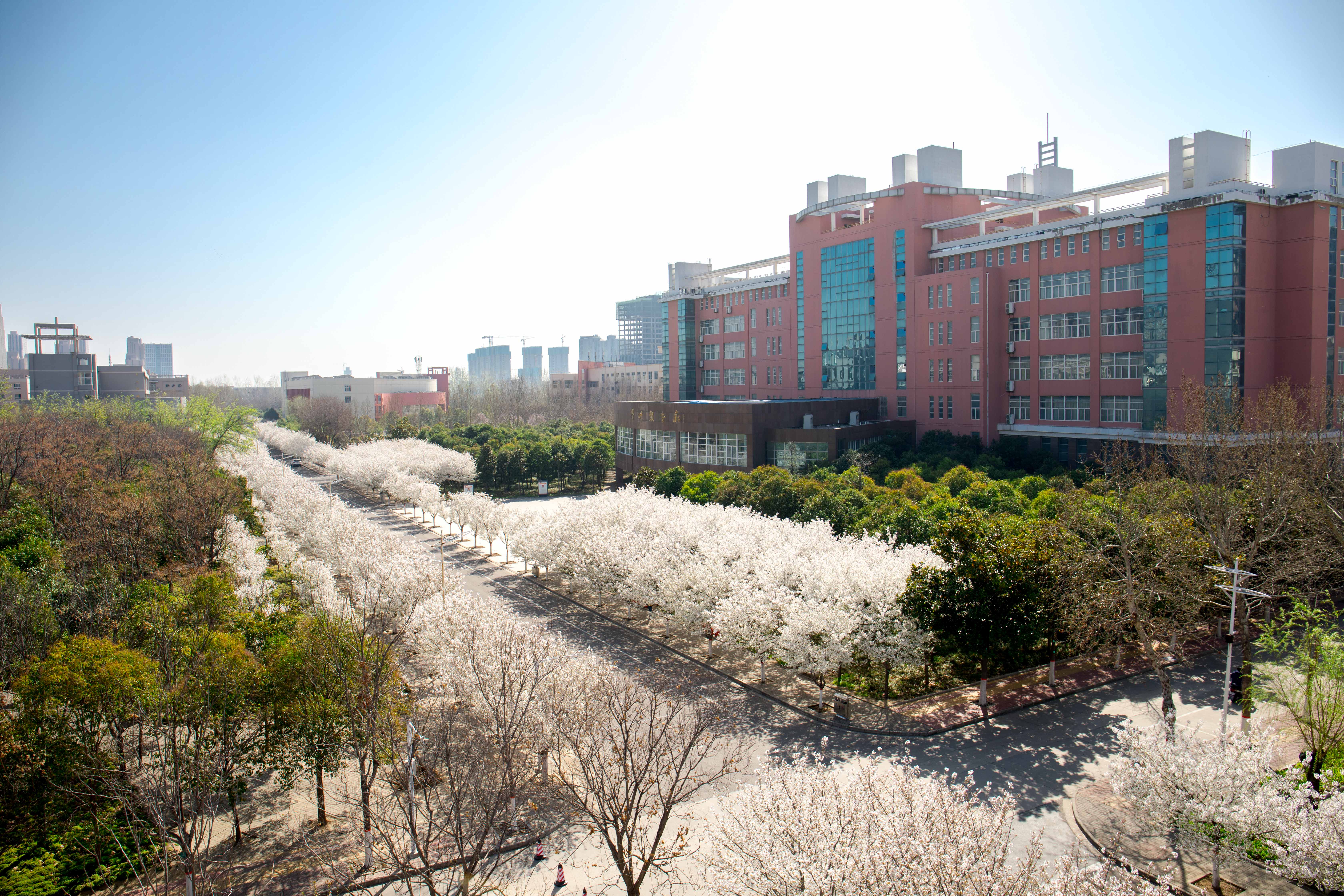 河南的中职学校有哪些,河南省有多少个师范学院