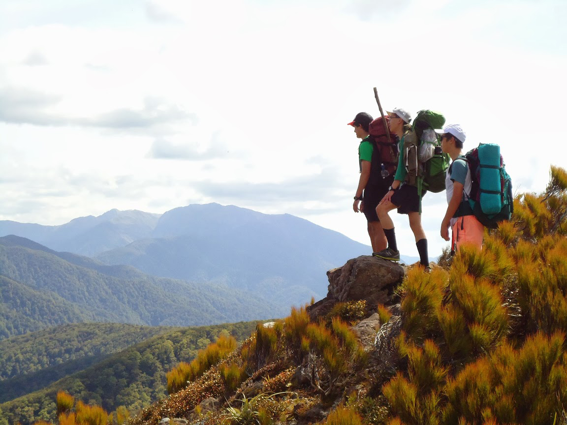 新西兰哪个工种工资高,新西兰哪些岗位是高薪