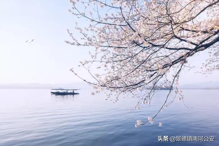 苏轼关于春天10首经典诗词,45首最美诗词送给春天可打印