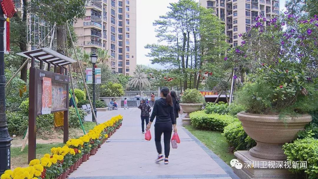 深圳垃圾分类政策执行状况,深圳垃圾分类新政策落地日期