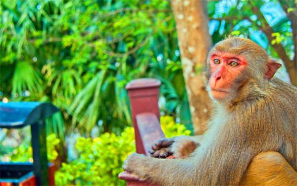 重庆到三亚怎么去最便宜,重庆到三亚途经哪些旅游城市