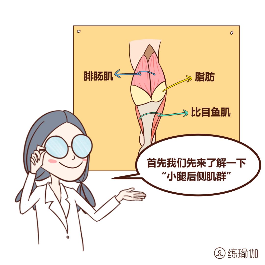 小腿腿围粗怎么减,小腿粗壮萝卜腿怎么办