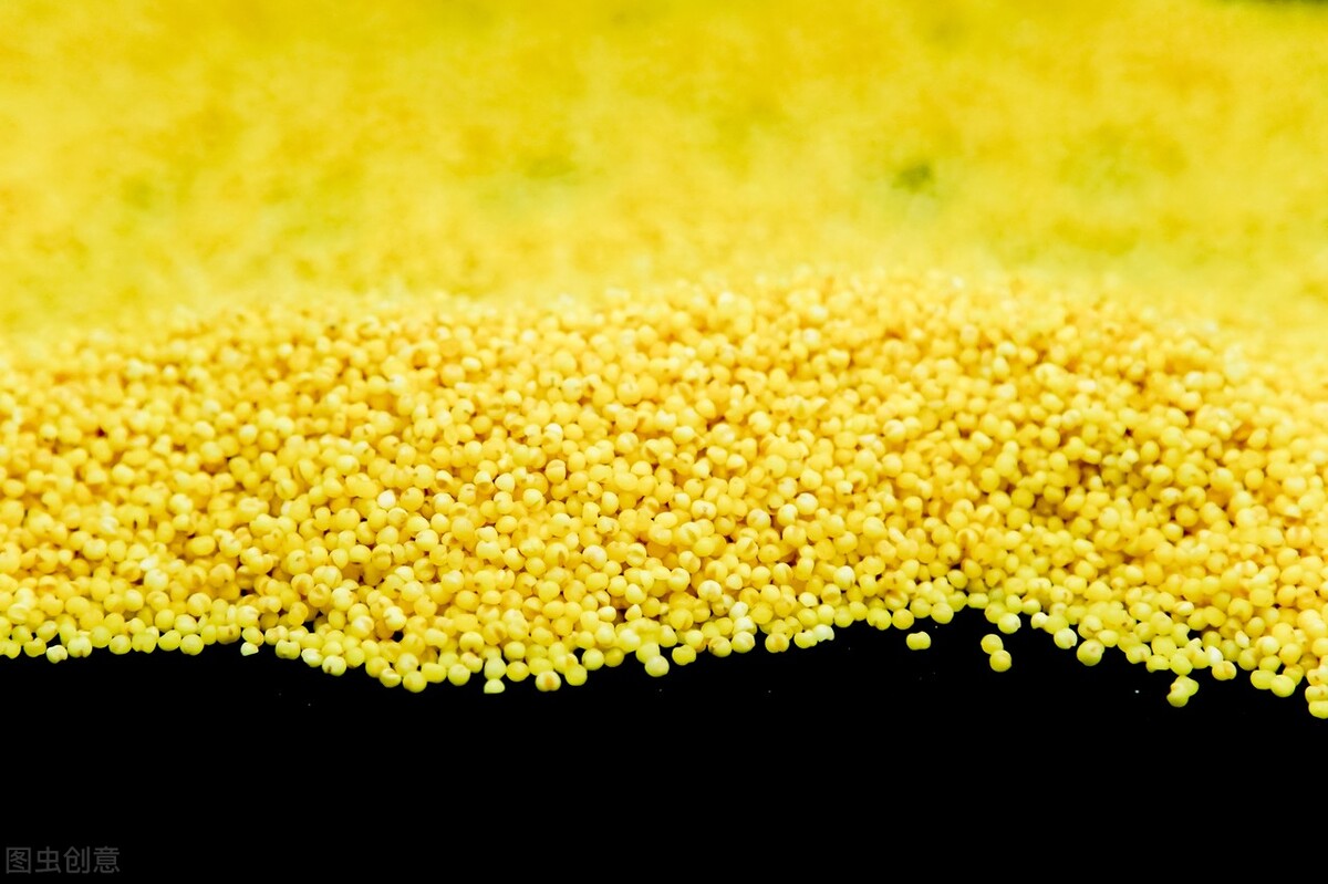 小米是颜色深的好还是浅的好 (小米是较黄的好还是较白的好)